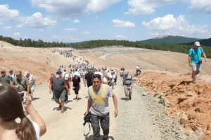 Kirazlı altın madeni davasında yürütmeyi durdurma kararı: 'Aşırı ağaç kesimi geri dönüşü olmayan ekolojik kayıplara yol açtı'