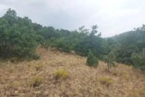 Isparta’da orman alanında kurulacak barit ocağı ÇED onayı