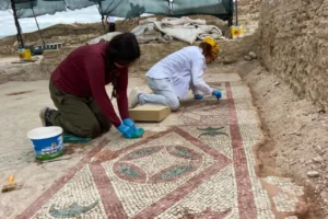 Pompeiopolis'te Roma dönemine ait 105 metrekarelik mozaikler ortaya çıkarıldı