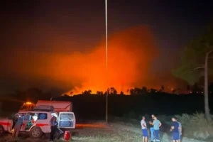 Antalya'da orman yangını: Havadan ve karadan müdahale başlatıldı