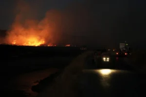 Adana’nın Kozan ilçesinde orman yangını