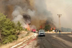 Antalya Kumluca'da orman yangını: Yangın yerleşim alanlarına yakın