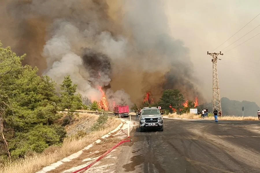 Antalya Kumluca'da orman yangını: Yangın yerleşim alanlarına yakın