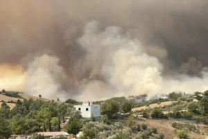 Orman yangınlarıyla mücadele: Antalya, Adana ve Mersin'deki son durum