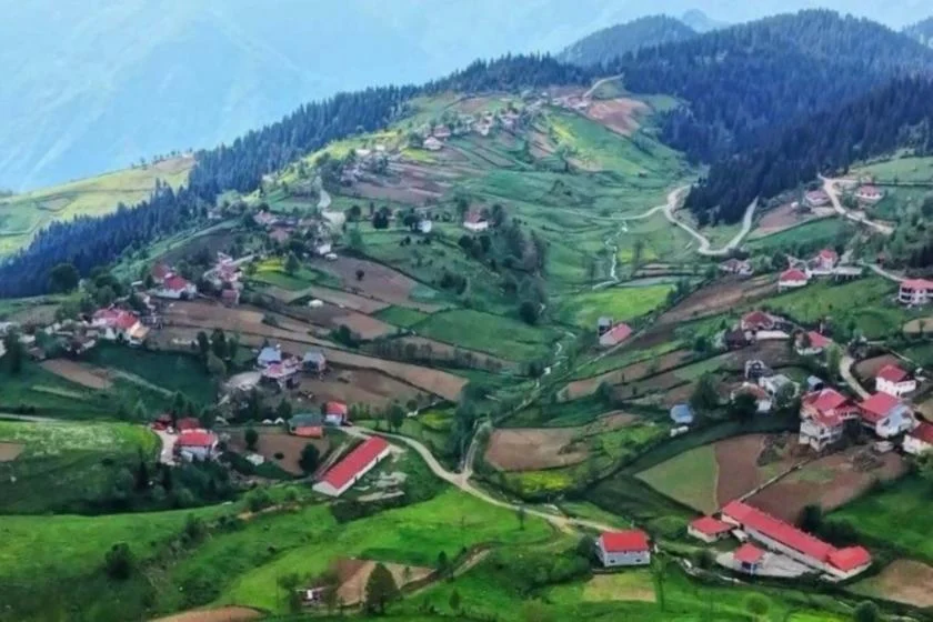 Mahkeme Çambaşı Yaylası'nı katledecek maden projesini durdurdu, itiraz yolunu kapattı