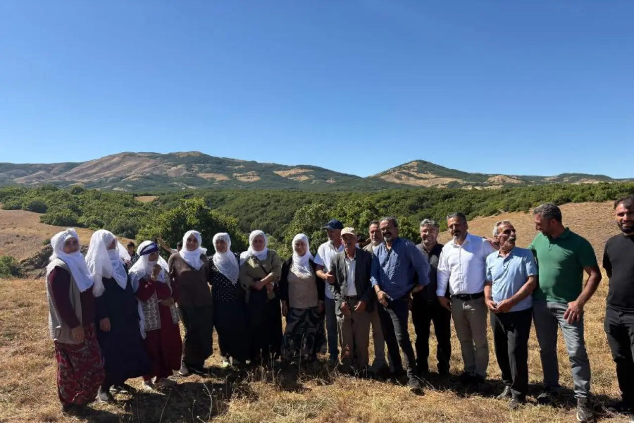 Karacehennem Ormanları'nda ağaç katliamına tepki: Ormanlar ticari meta değil, yaşamın ortak varlığıdır!
