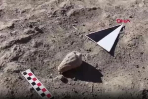 Ankara'da 66 milyon yıllık deniz fosili keşfedildi