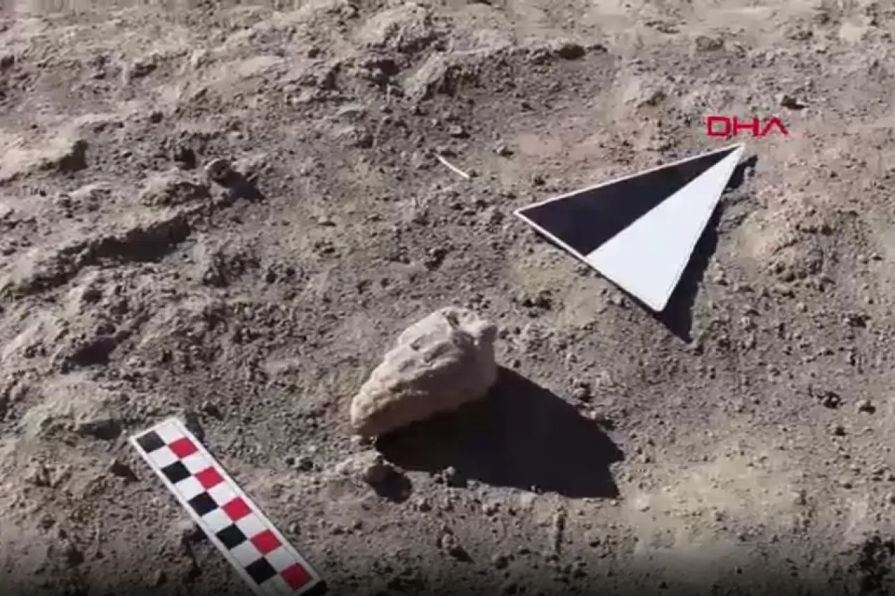 Ankara'da 66 milyon yıllık deniz fosili keşfedildi
