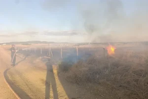 Lavanta tarlasında yangın