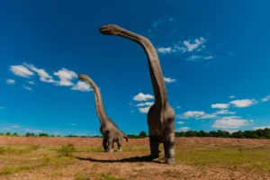 Kuzey Amerika dışındaki ilk Diplodocus fosili İspanya'da bulundu