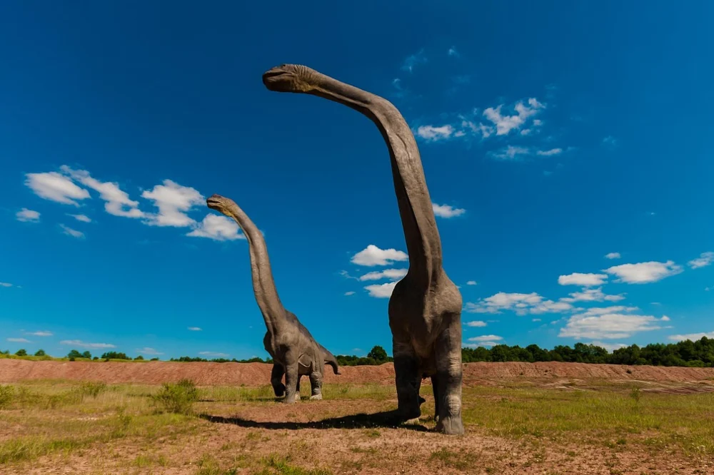 Kuzey Amerika dışındaki ilk Diplodocus fosili İspanya'da bulundu