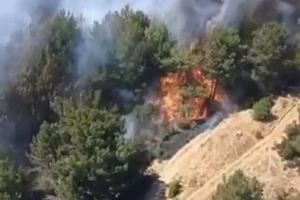 Balıkesir Karasi'de orman yangını