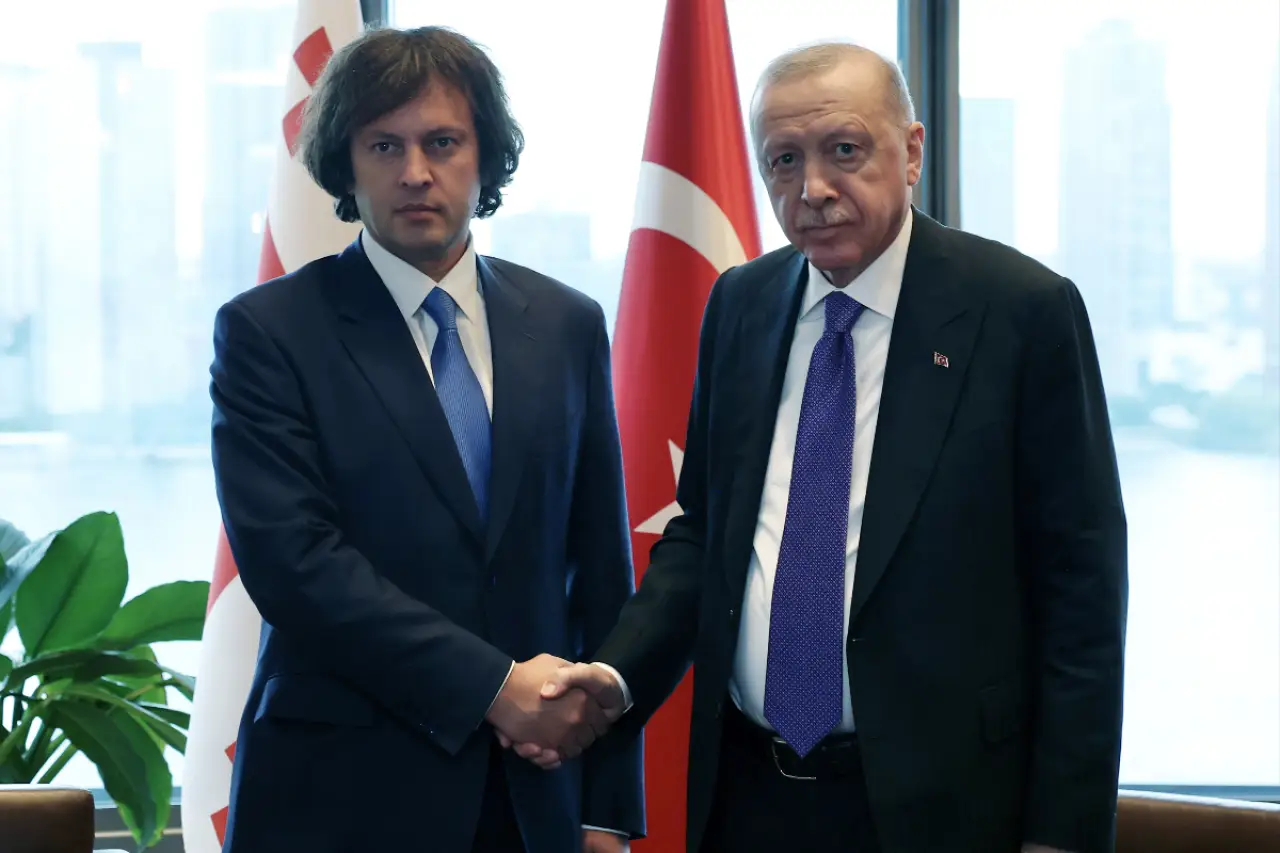 Erdoğan, New York'ta Gürcistan Başbakanı Kobakhidze ile görüştü