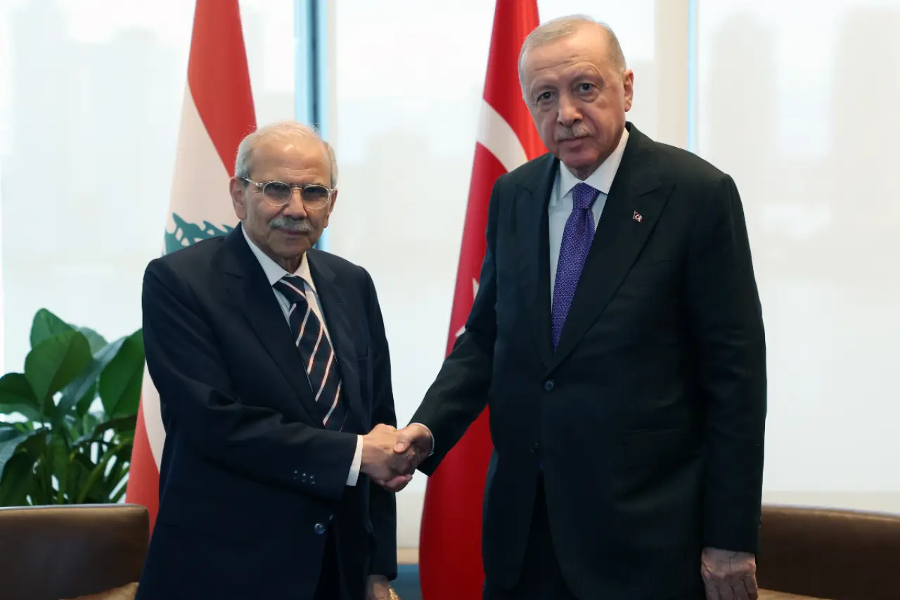Cumhurbaşkanı Erdoğan, Lübnan Başbakanı Nevvaf Selam ile görüştü