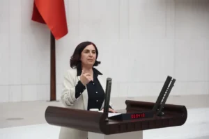 DEM Partili Sevilay Çelenk, Manisa’daki okul saldırısını Meclis gündemine taşıdı