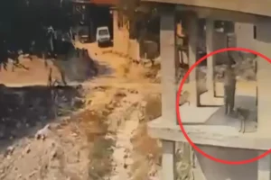 Adana'da inşaattaki köpeğe sopalı saldırı: Soruşturma başlatıldı