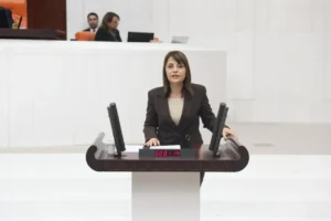 DEM Parti’den ‘okullarda artan şiddet ve güvenlik zafiyeti’ için araştırma önergesi
