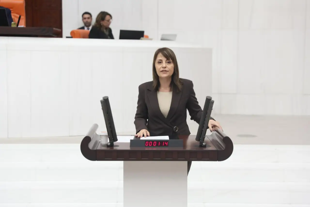 DEM Parti’den ‘okullarda artan şiddet ve güvenlik zafiyeti’ için araştırma önergesi