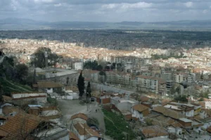 Manisalı besiciler hayvancılığı bırakma noktasında: “Çalışırken batıyoruz”