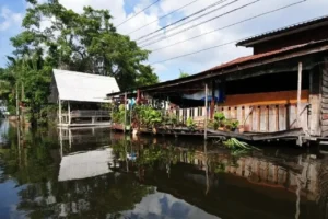 Tayland'da şiddetli yağışlar sele yol açtı: Bangkok'taki 50 bölgenin tamamı afet bölgesi ilan edildi