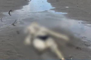 Samsun'da sahilde insan iskeleti bulundu