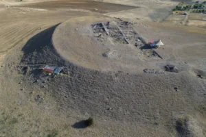 Ankara'da 66 milyon yıllık fosil bulundu