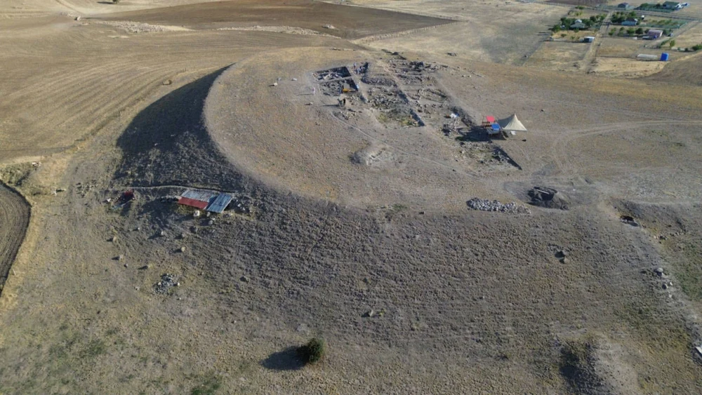 Ankara'da 66 milyon yıllık fosil bulundu