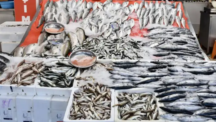 Av yasağı sona erdi, tezgahlar balıkla doldu: Fiyatlar nasıl?