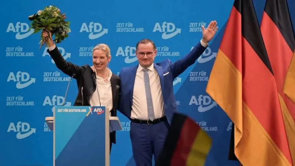 'Bir daha asla'dan bugüne: Almanya'da AfD'nin yükselişi, sınıf ve siyasal temsil