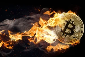 Bitcoin'in fiyatı 8 ayın en yüksek seviyesinde