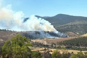 Bursa'da orman yangını: Havadan ve karadan müdahale ediliyor