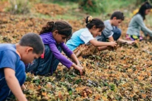 Diyarbakır’da okullar açıldı, onlar hala gidemedi!