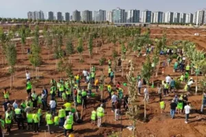 Diyarbakır Büyükşehir’den dev adım: “20 binden fazla…”