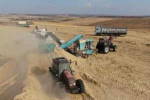 Diyarbakır'da 10 yıldır ekmeklerini samandan kazanıyorlar