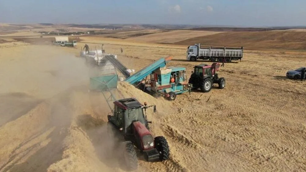 Diyarbakır'da 10 yıldır ekmeklerini samandan kazanıyorlar