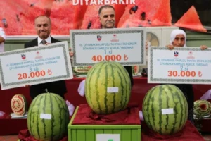 Diyarbakır Karpuz Festivali coşkusu yaşandı!