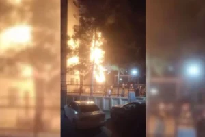 Diyarbakır’da atılan havai fişek ağacı yaktı