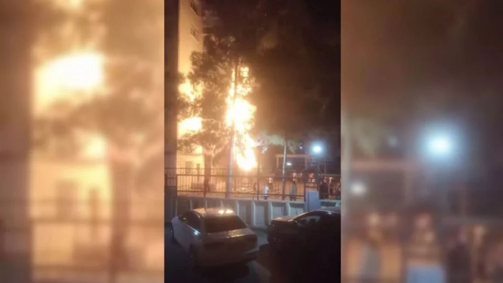 Diyarbakır’da atılan havai fişek ağacı yaktı