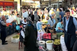 Diyarbakır'da pestil yapımına başlandı: İşte fiyatı