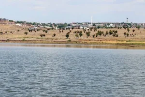 Diyarbakır’da “su olmazsa hayvancılık yapamayız” dediler: O köy suya kavuştu!