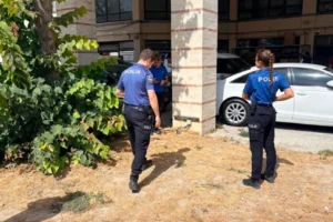 Esnaf şokta: Besledikleri kedi, bacakları kesilmiş halde bulundu!