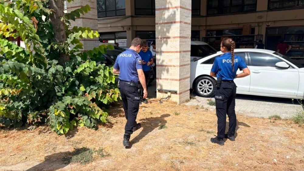 Esnaf şokta: Besledikleri kedi, bacakları kesilmiş halde bulundu!
