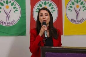 Hatimoğulları'ndan 'süreç' tepkisi: "Bir adım ileri beş adım geri atılacak süreci toplum kaldırmaz"