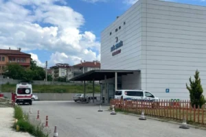 Kastamonu'da orman işçisi, arı sokması sonucu öldü