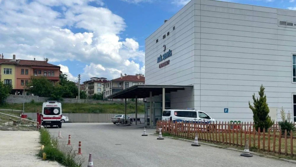 Kastamonu'da orman işçisi, arı sokması sonucu öldü