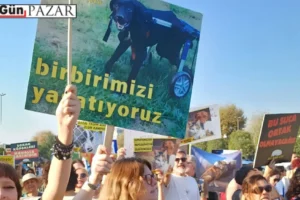 Katliam yasasının ardından iki yılın bilançosu: Şiddet olağanlaşırken, hayvanları yaşatmak için emek, ihtimam ve dayanışma ağları derinleşiyor