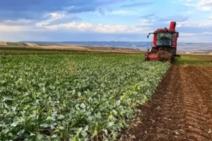 Motorinde litre fiyatı 3 haneyi gördü: "Traktör yerinden kıpırdamayacak artık"