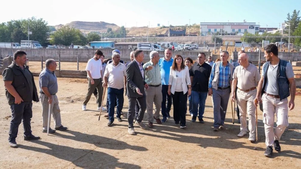 Diyarbakır’da 'Hayvan Pazarı' taşınıyor: Yeni yeri belli oldu, tarih verildi!