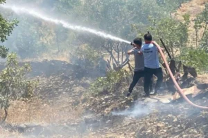 Siirt'te çıkan orman yangınına müdahale ediliyor
