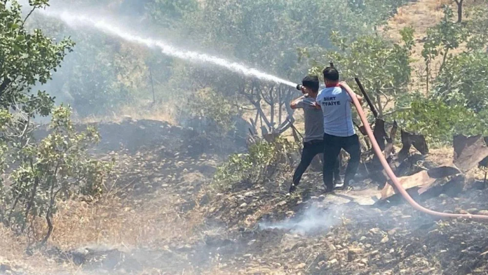 Siirt'te çıkan orman yangınına müdahale ediliyor